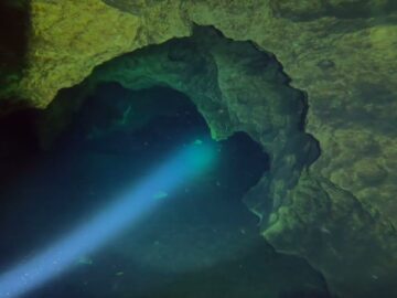 1-30-2025 – Peacock The Well