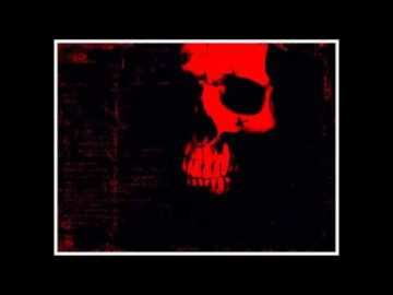 ►►Torsten Kanzler Records_ Niereich Set II
