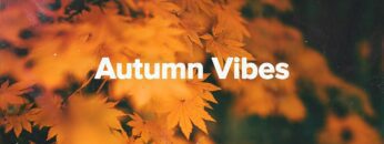 Autumn Vibes Mix 2024 🍂 Chill Fall Music – Cozy