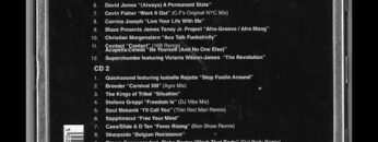 Danny Tenaglia – Back To Basics CD 2 [2002]