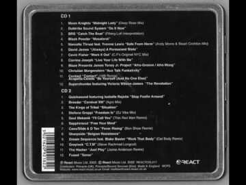Danny Tenaglia – Back To Basics CD 2 [2002]