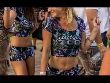 DVBBS – Live @ Electric Zoo Festival 2014 NY (Full