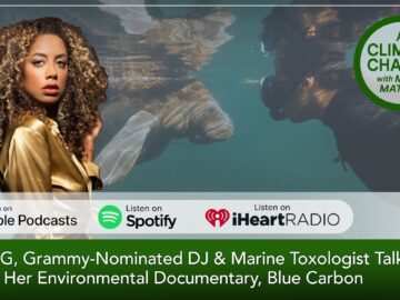 From Mangrove Forests to Festival Stages: The Journey of Jayda