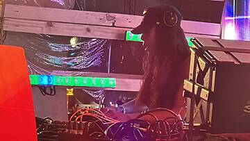 Honey Dijon- Escenario Villa Maravilla @ Tecate Pal Norte 2023