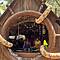 Ricardo Villalobos B2B Raresh UNUM Music Festival Pine Stage Albania 2025